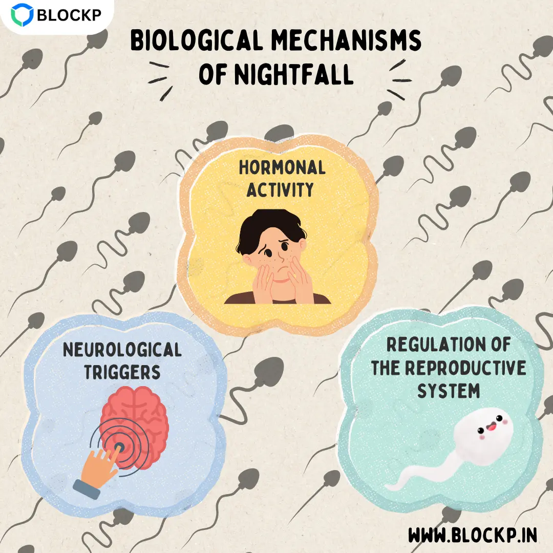Biological Mechanisms of Nightfall