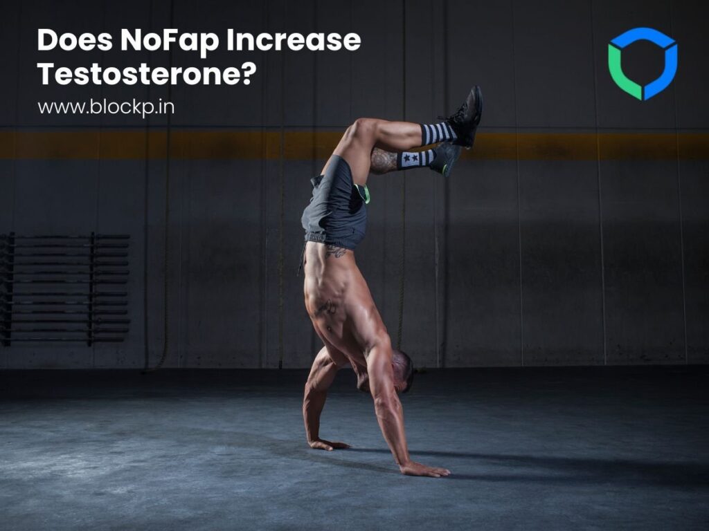 Does NoFap Increase Testosterone?